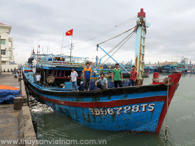 Tàu cá của ngư dân Võ Thế Cường, ở xã Hoài Hải (Hoài Nhơn, Bình Định) xuất bến tại cảng cá Quy Nhơn thẳng tiến ra vùng biển thuộc quần đảo Hoàng Sa để khai thác cá ngừ đại dương